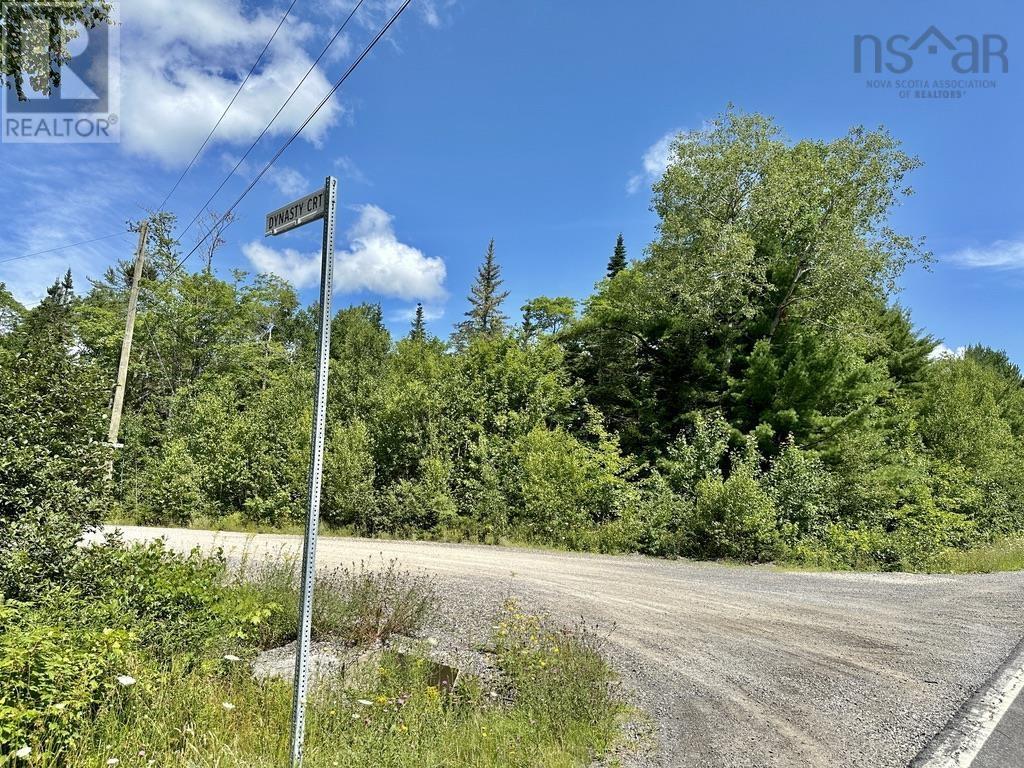 Lot 21 Highway 14, Sherwood, Nova Scotia  B0J 1J0 - Photo 3 - 202419203