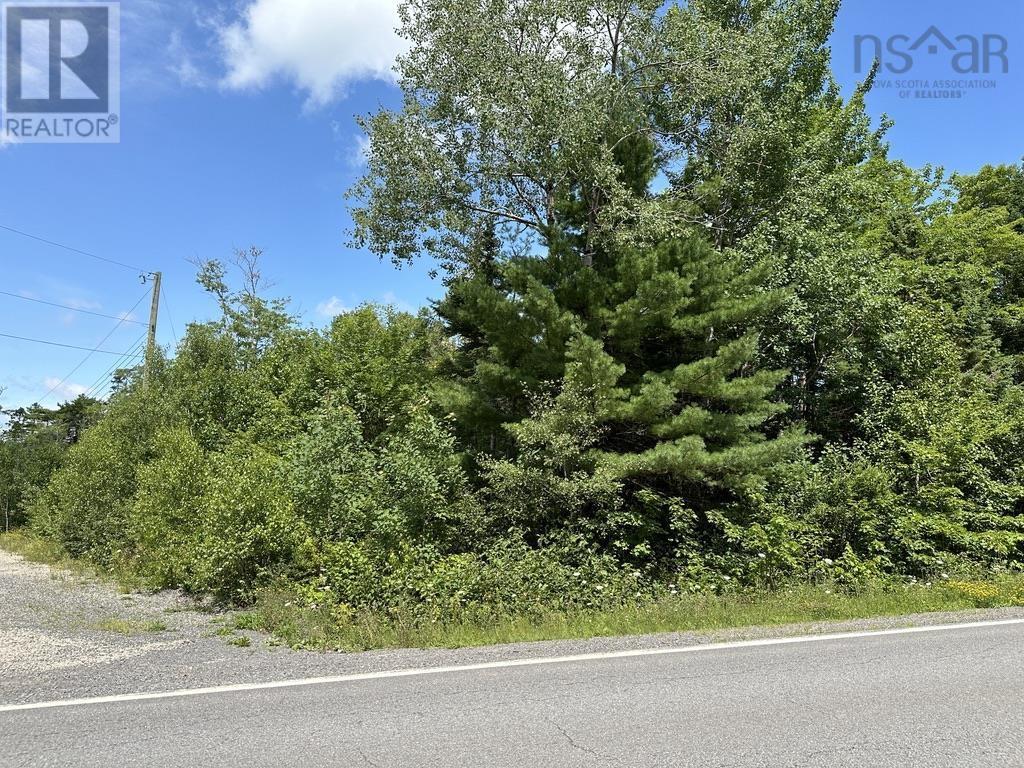 Lot 21 Highway 14, Sherwood, Nova Scotia  B0J 1J0 - Photo 6 - 202419203