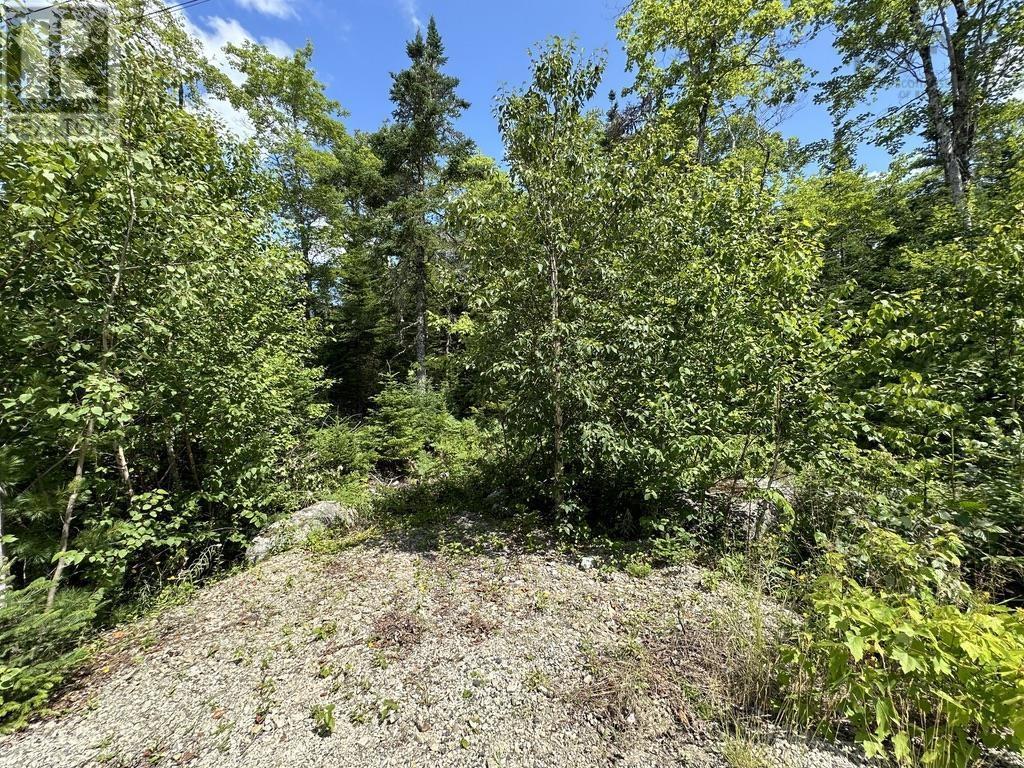 Lot 21 Highway 14, Sherwood, Nova Scotia  B0J 1J0 - Photo 7 - 202419203