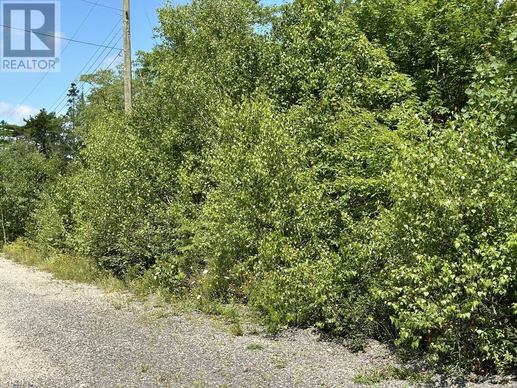 Lot 21 Highway 14, Sherwood, Nova Scotia  B0J 1J0 - Photo 8 - 202419203