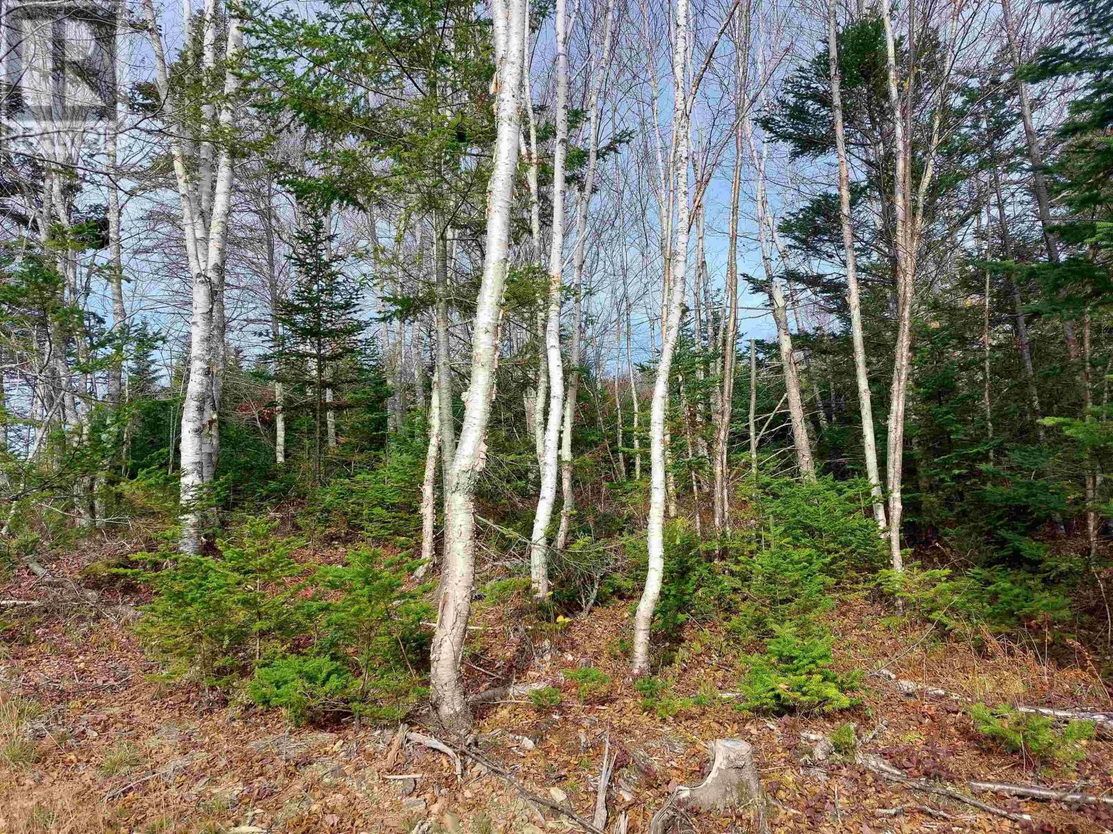 Lot 2 Bjoern Seelhorst Dr., French Road, Nova Scotia  B1K 0B1 - Photo 8 - 202419264