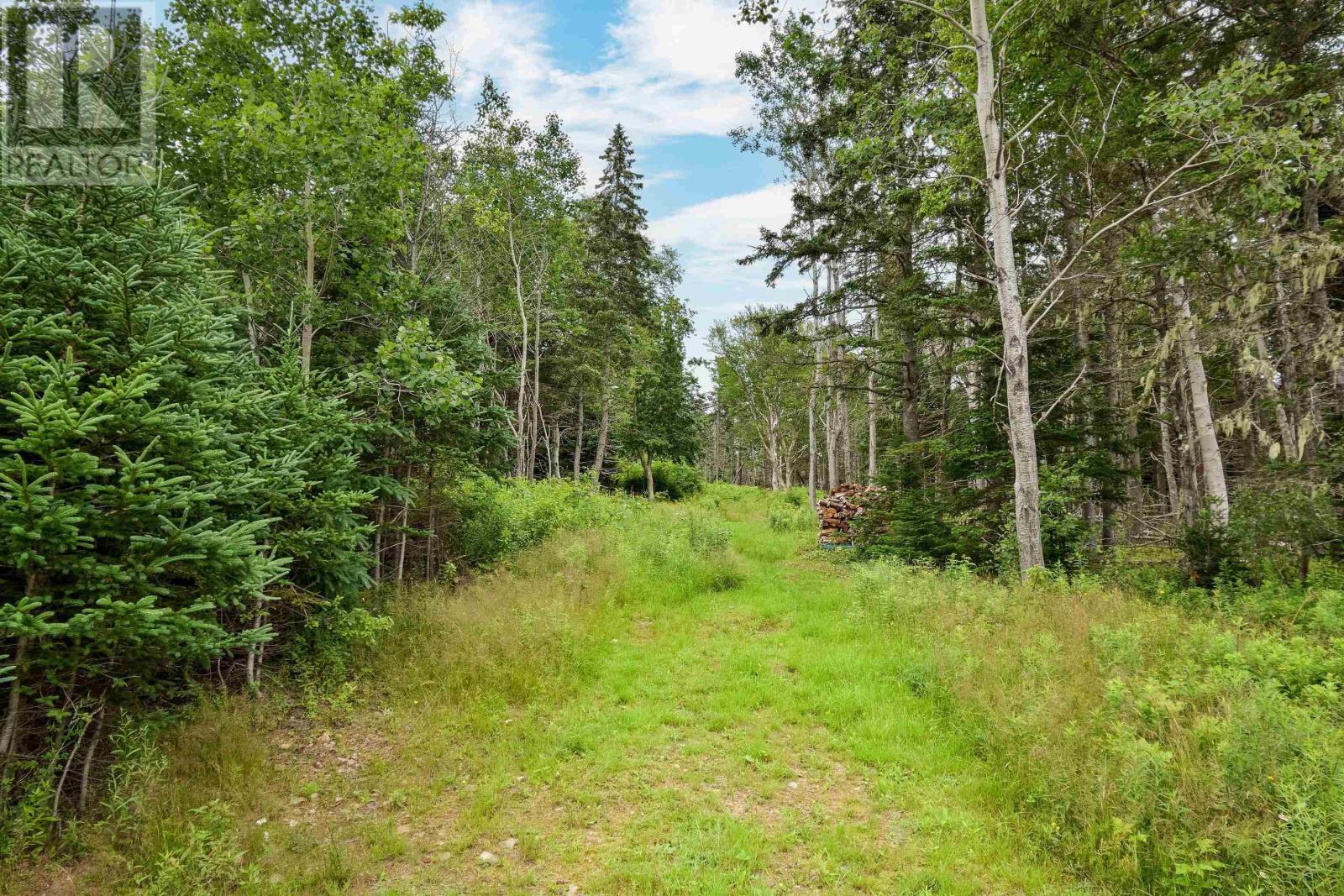 785 105 Highway, Boularderie East, Nova Scotia  B1X 1J6 - Photo 24 - 202419276