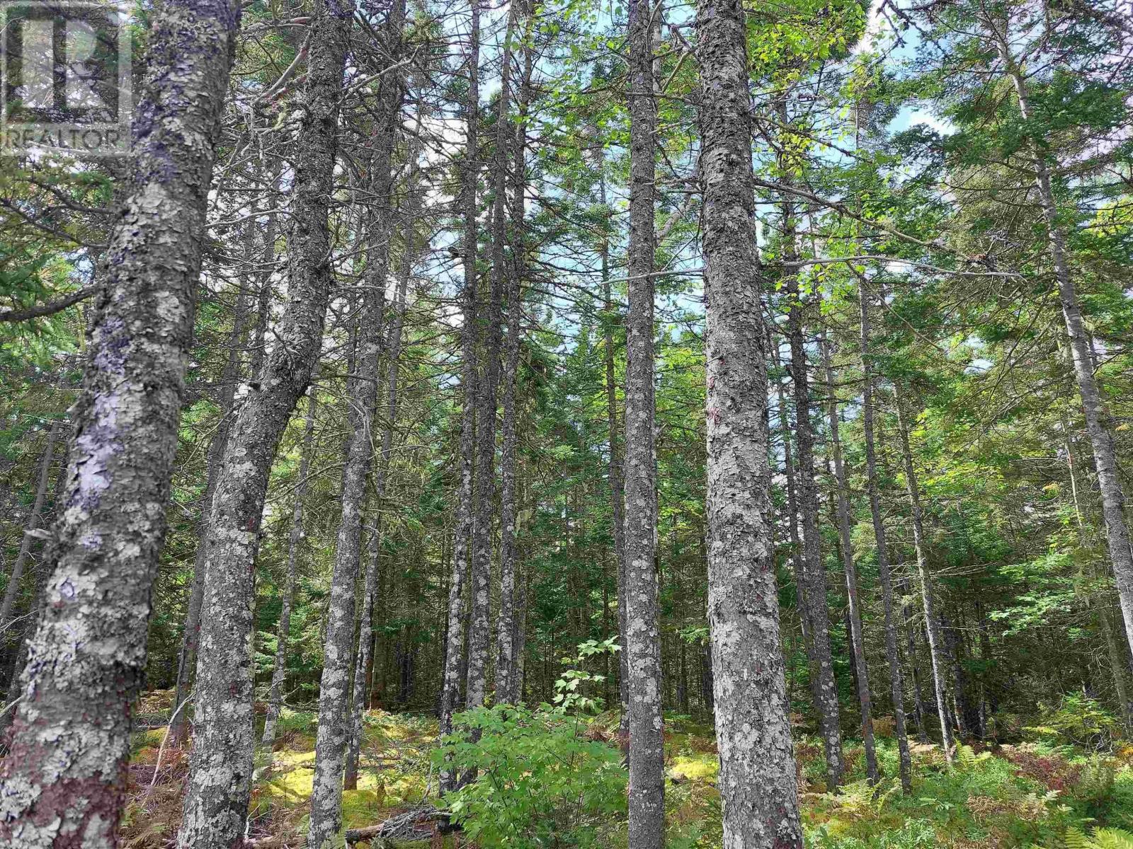 Lot 8 Lower River Rd., Hureauville, Nova Scotia  B0E 1J0 - Photo 9 - 202419300