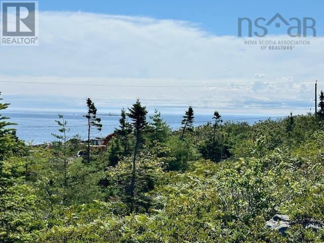 Lot 109+109-1 Long Cove Road, Port Medway, Nova Scotia  B0J 2T0 - Photo 2 - 202419314