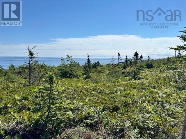 Lot 109+109-1 Long Cove Road, Port Medway, Nova Scotia  B0J 2T0 - Photo 3 - 202419314