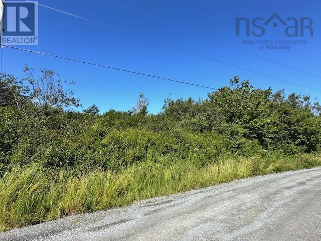 Lot 109+109-1 Long Cove Road, Port Medway, Nova Scotia  B0J 2T0 - Photo 5 - 202419314