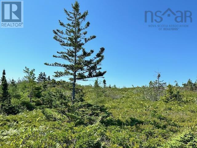 Lot 109+109-1 Long Cove Road, Port Medway, Nova Scotia  B0J 2T0 - Photo 6 - 202419314