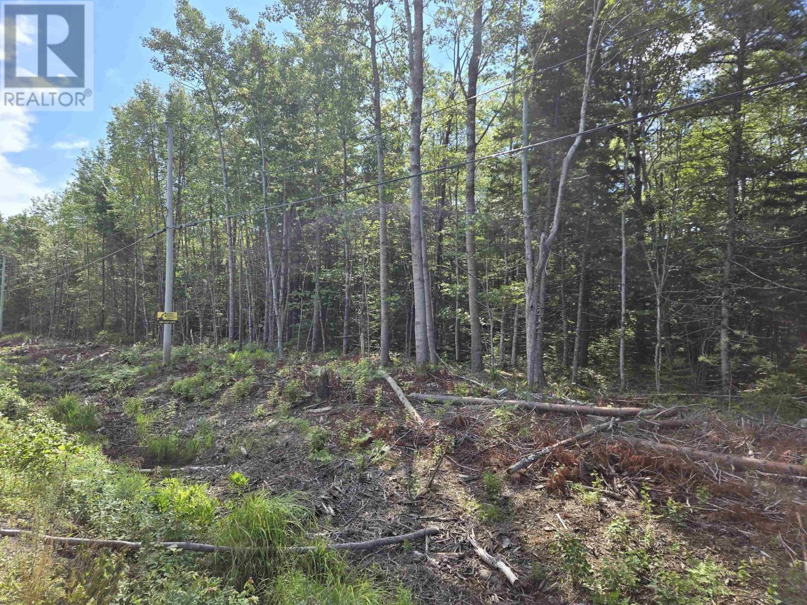 Lot 1 Conquerall Road, Conquerall Bank, Nova Scotia  B4V 0J6 - Photo 2 - 202419315