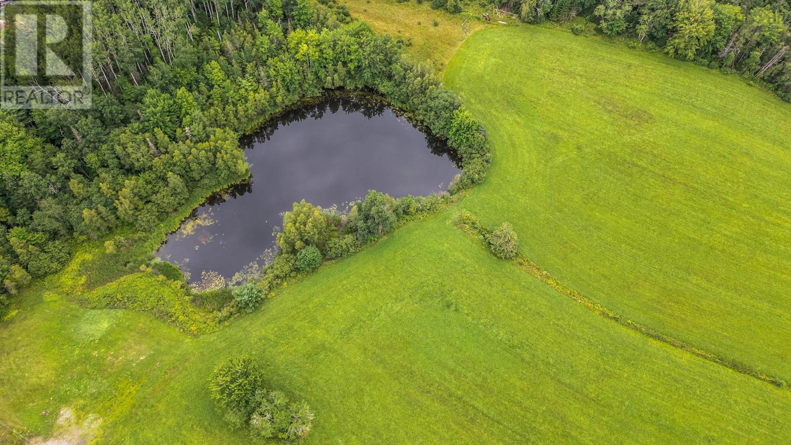 No 14 Highway, Greenfield, Nova Scotia  B0N 2G0 - Photo 15 - 202419325