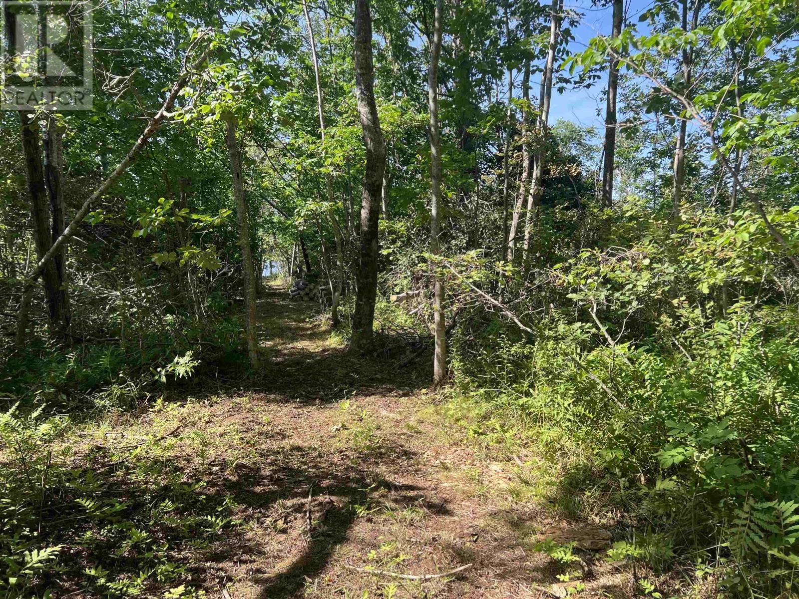 Lot 4-1a2 Loch Broom Road, Loch Broom, Nova Scotia  B0K 2A0 - Photo 12 - 202419391