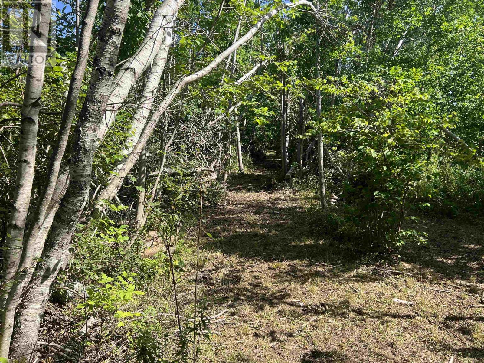 Lot 4-1a2 Loch Broom Road, Loch Broom, Nova Scotia  B0K 2A0 - Photo 13 - 202419391