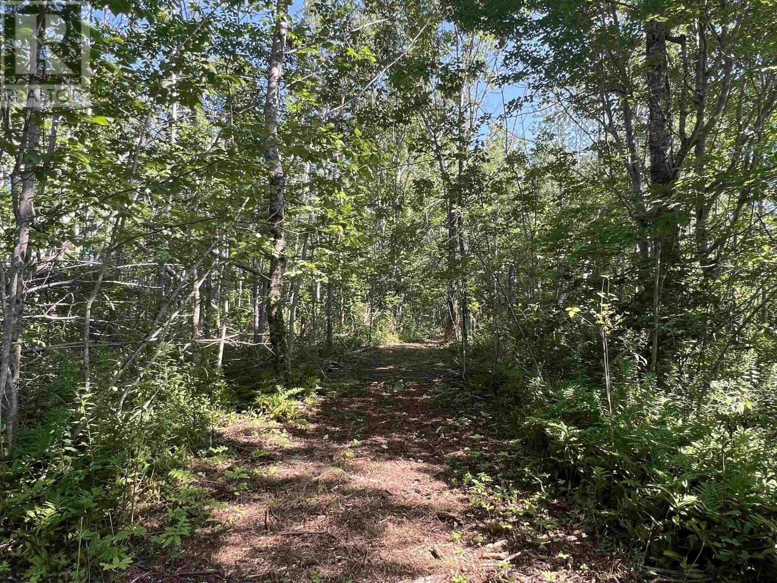 Lot 4-1a2 Loch Broom Road, Loch Broom, Nova Scotia  B0K 2A0 - Photo 8 - 202419391