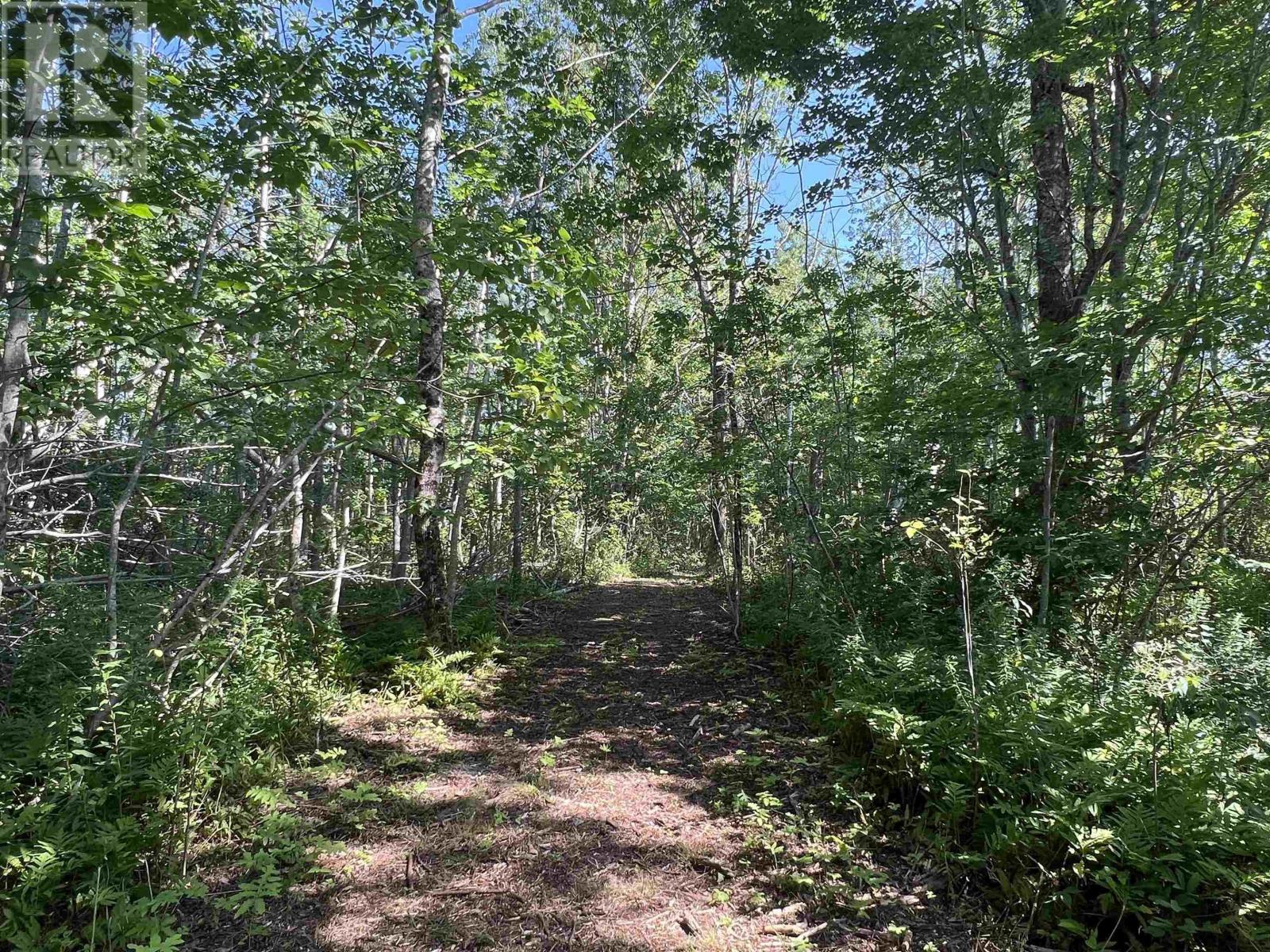 Lot 4-1a2 Loch Broom Road, Loch Broom, Nova Scotia  B0K 2A0 - Photo 9 - 202419391