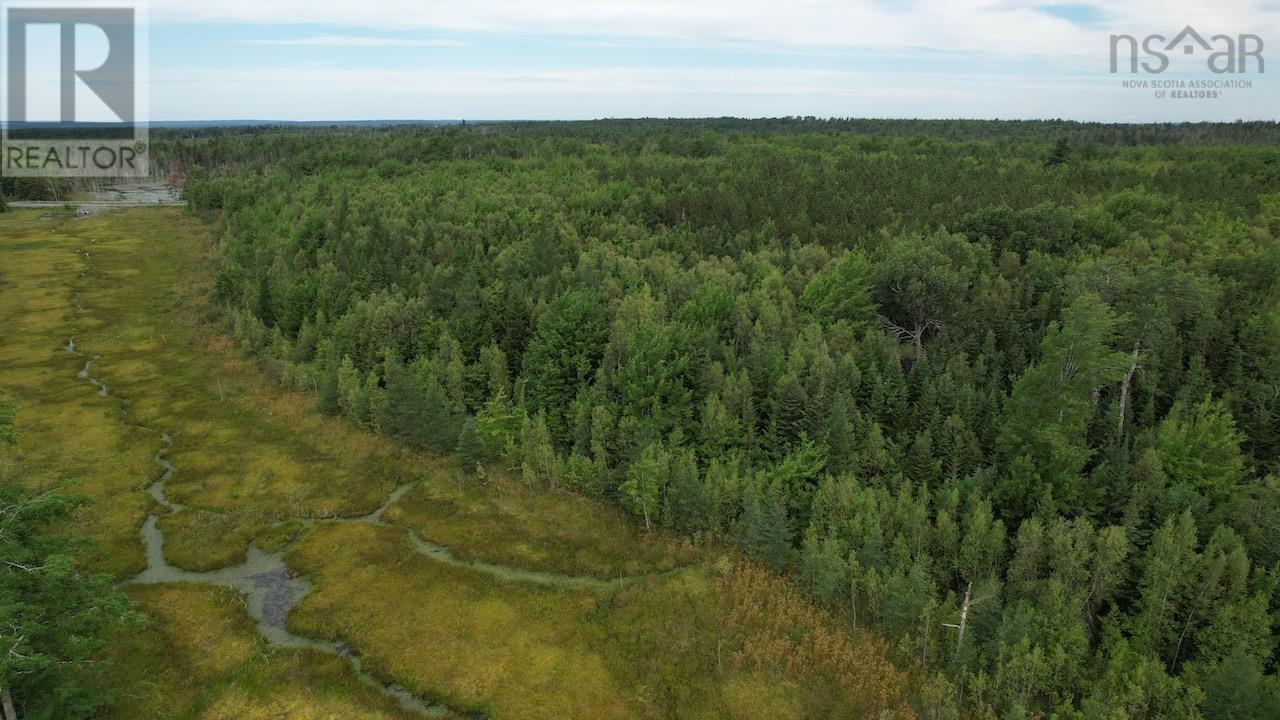 Lot 92-3,4 368 Highway, South Middleboro, Nova Scotia  B0K 1M0 - Photo 5 - 202419399