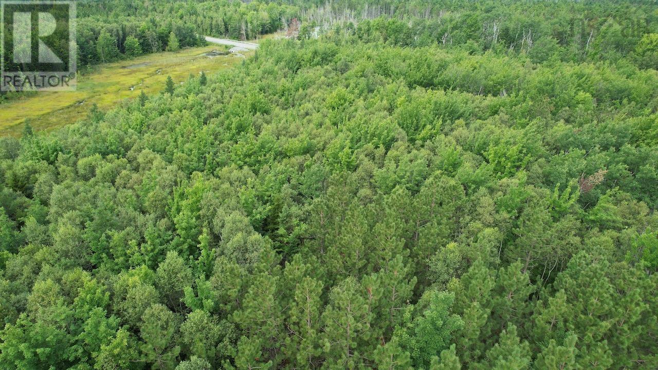 Lot 92-3,4 368 Highway, South Middleboro, Nova Scotia  B0K 1M0 - Photo 6 - 202419399