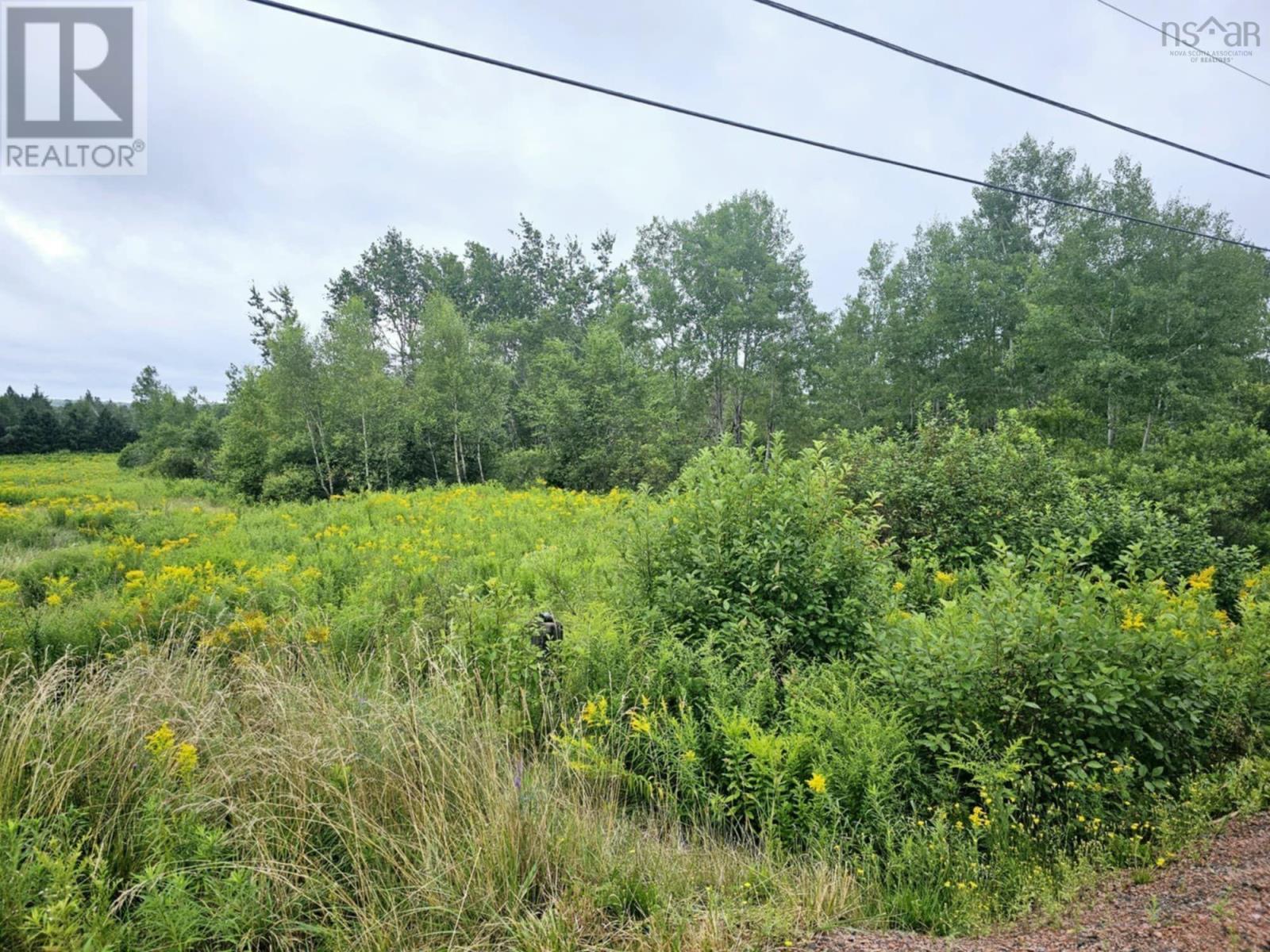 Lot 24-10 East Mountain Road, East Mountain, Nova Scotia  B6L 2E3 - Photo 6 - 202419406