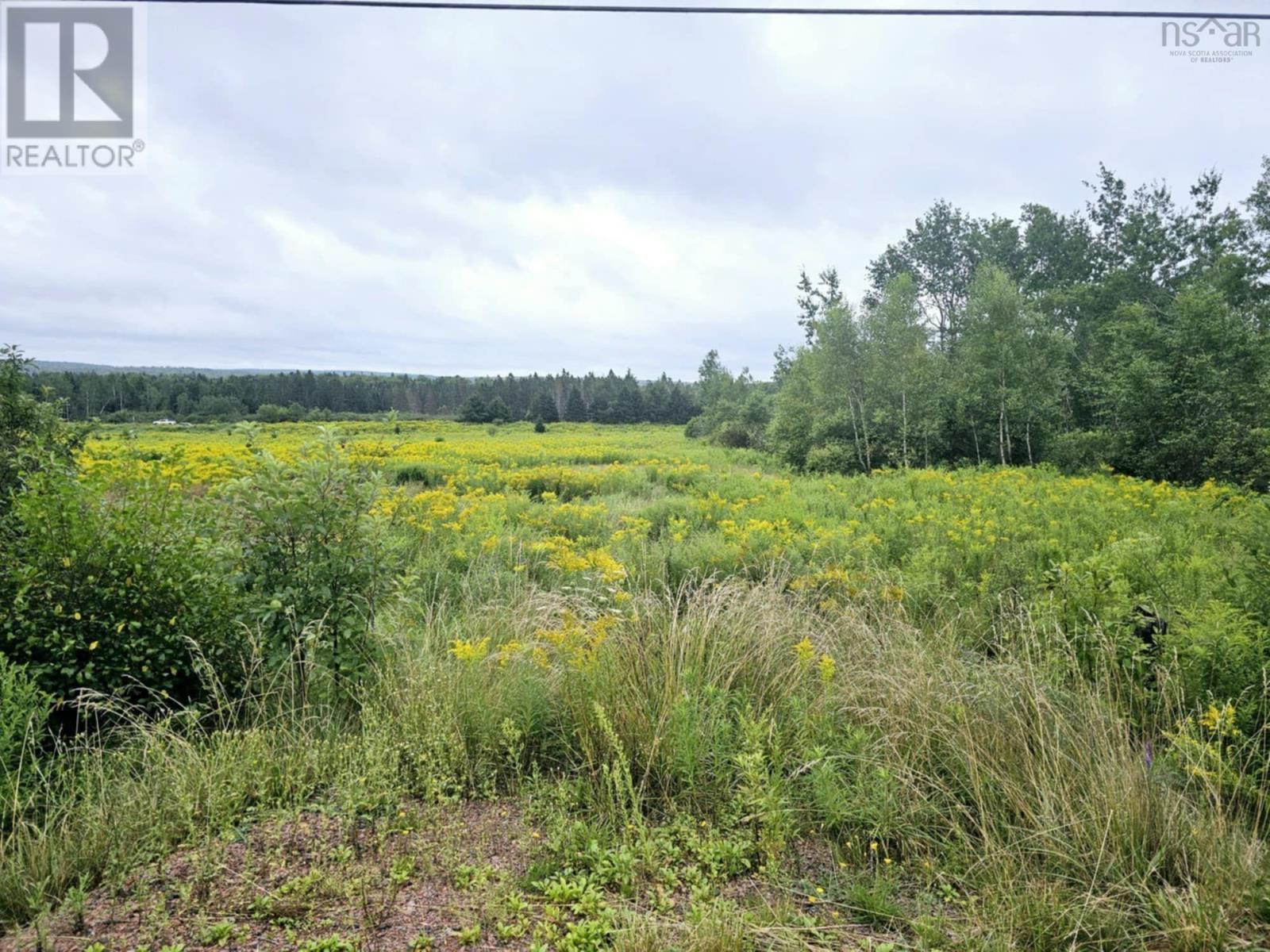 Lot 24-10 East Mountain Road, East Mountain, Nova Scotia  B6L 2E3 - Photo 7 - 202419406