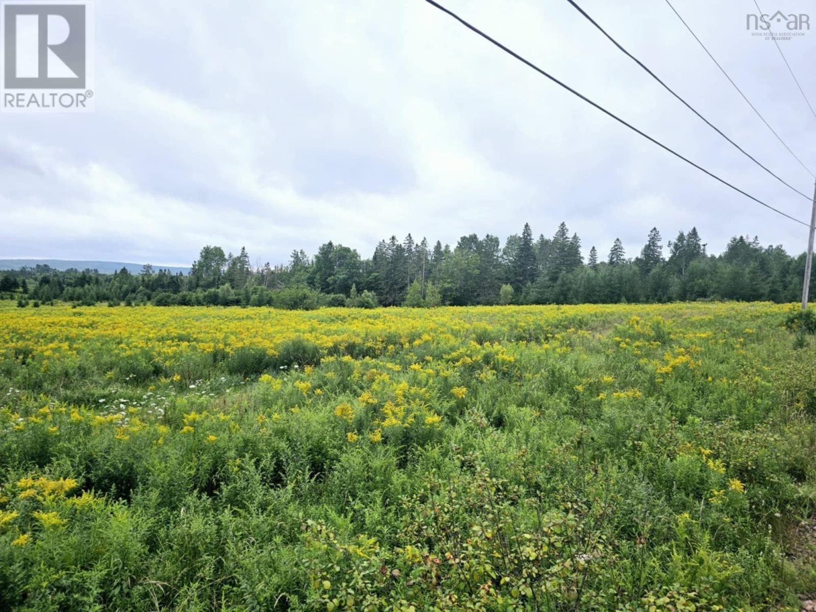 Lot 24-10 East Mountain Road, East Mountain, Nova Scotia  B6L 2E3 - Photo 9 - 202419406