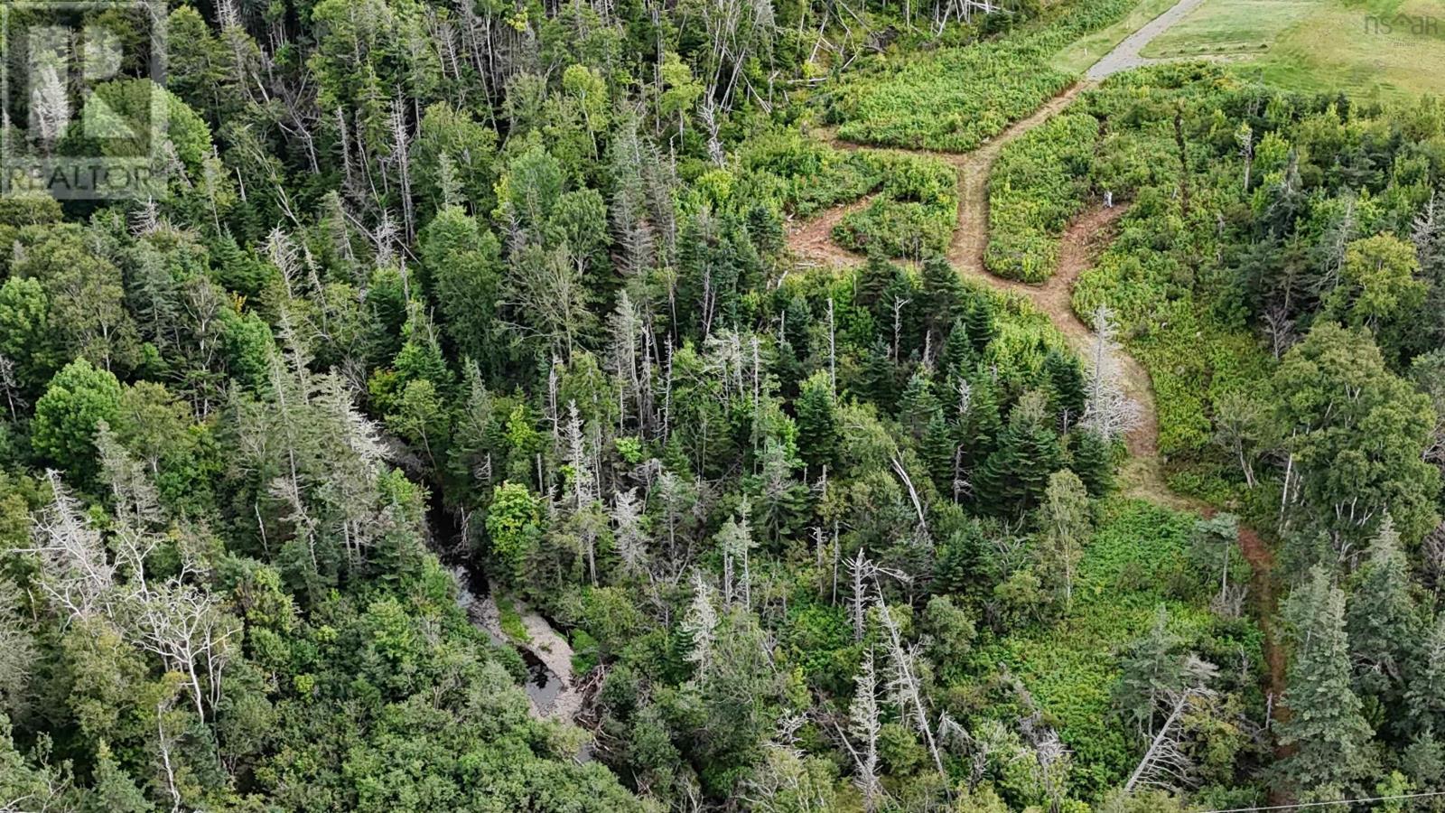 Lot 4 Old Baxter Mill Road, Baxters Harbour, Nova Scotia  B0P 1H0 - Photo 4 - 202419505