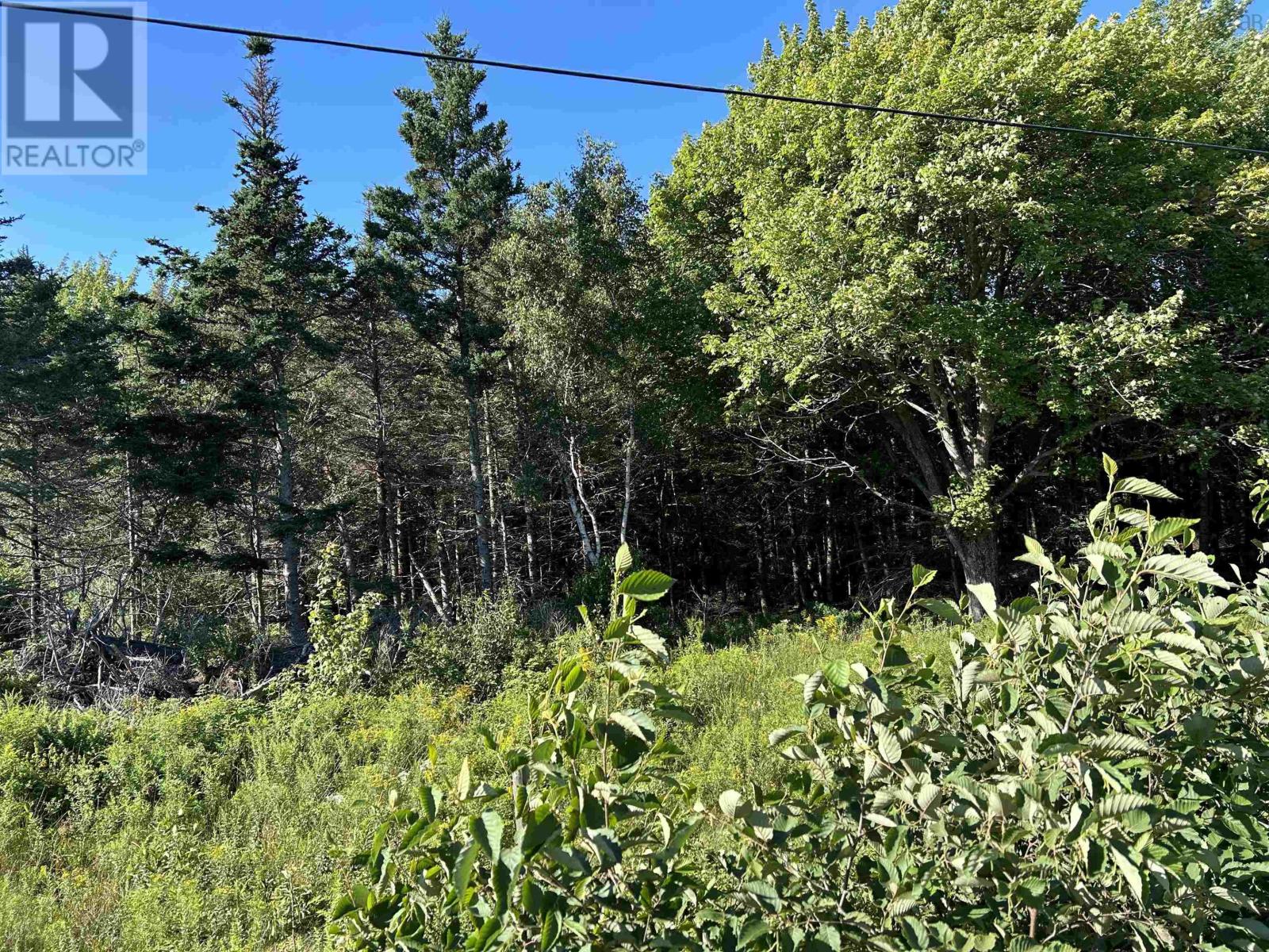 Lot A Arlington Road, Arlington West, Nova Scotia  B0P 1R0 - Photo 12 - 202419509