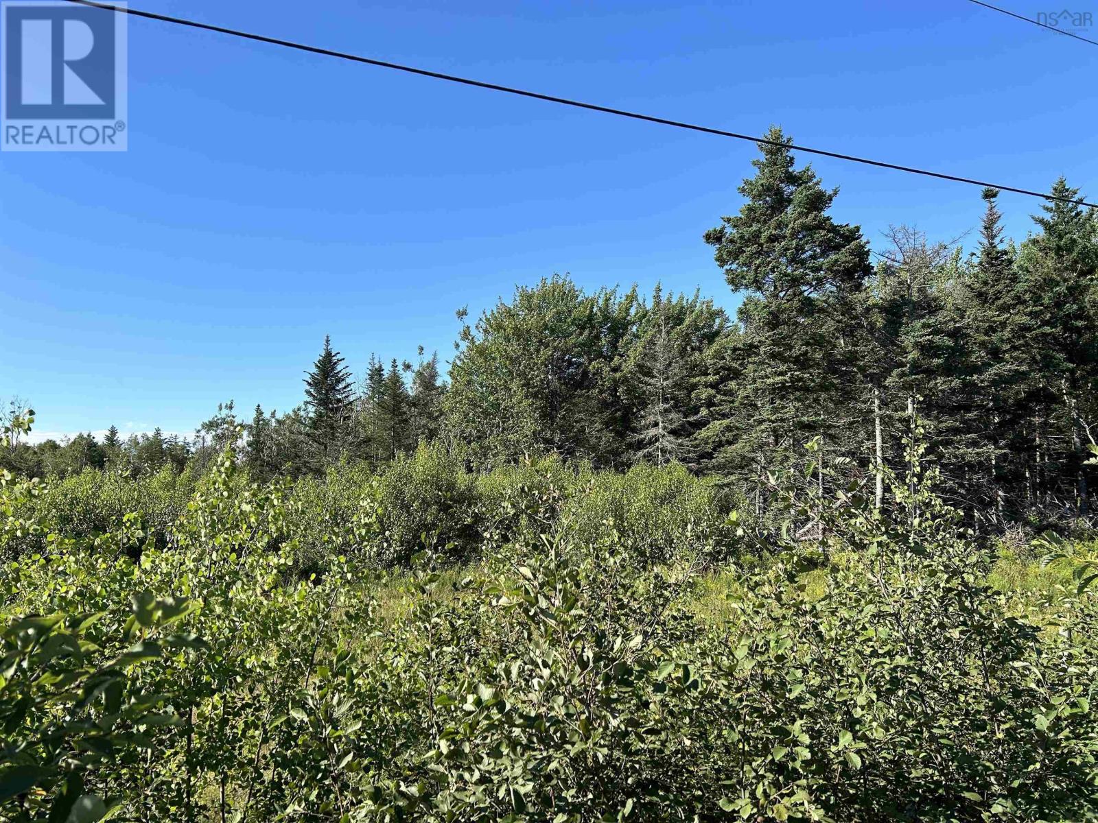 Lot A Arlington Road, Arlington West, Nova Scotia  B0P 1R0 - Photo 13 - 202419509