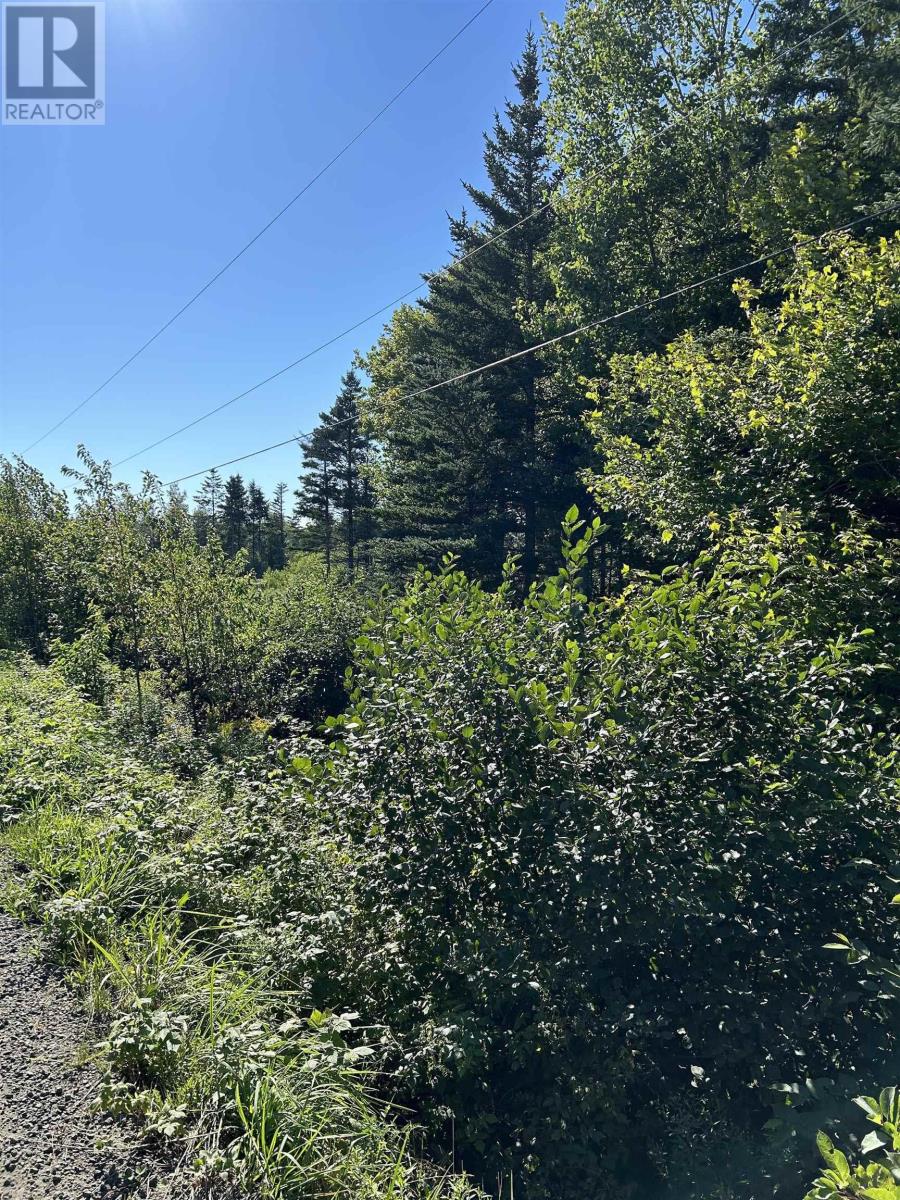 Lot A Arlington Road, Arlington West, Nova Scotia  B0P 1R0 - Photo 14 - 202419509