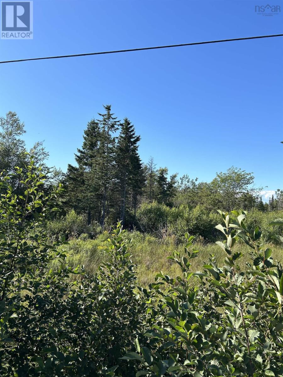 Lot A Arlington Road, Arlington West, Nova Scotia  B0P 1R0 - Photo 15 - 202419509