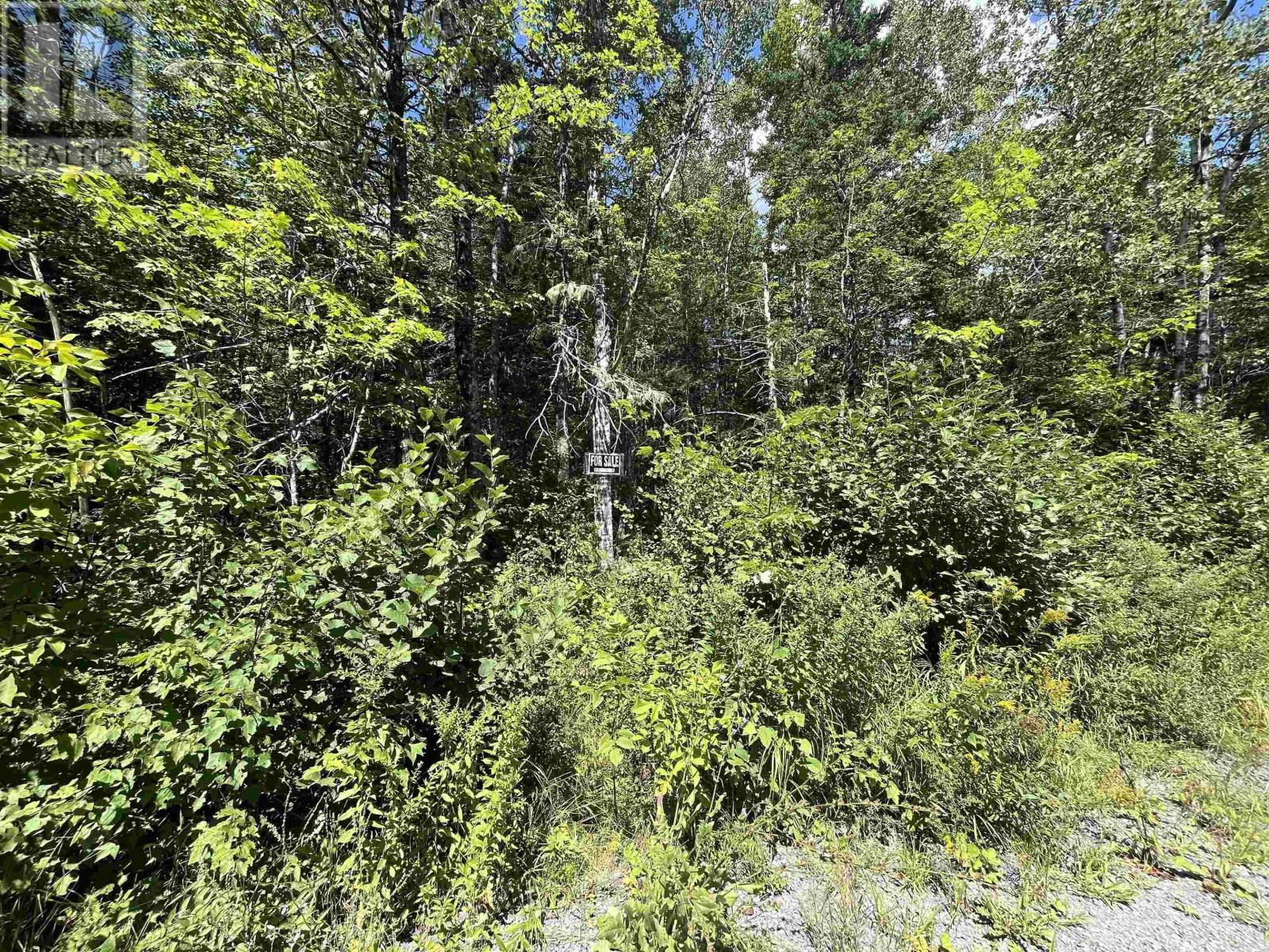 3 Acres Mines Road, Falmouth, Nova Scotia  B0N 2T0 - Photo 2 - 202419521