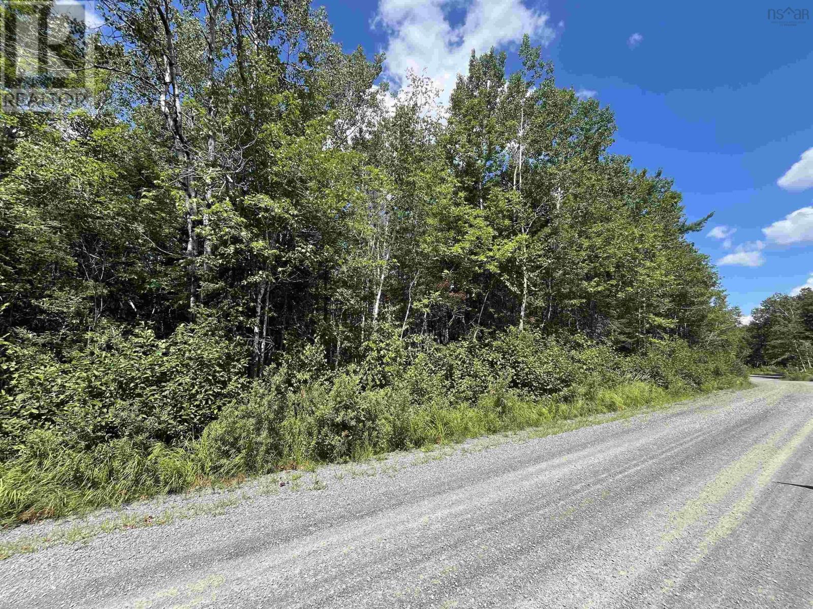 3 Acres Mines Road, Falmouth, Nova Scotia  B0N 2T0 - Photo 4 - 202419521