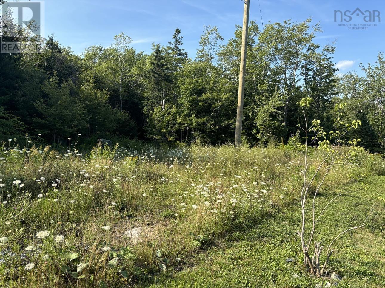 3 Herring Cove Road, Herring Cove, Nova Scotia  B3R 1Z6 - Photo 7 - 202419549