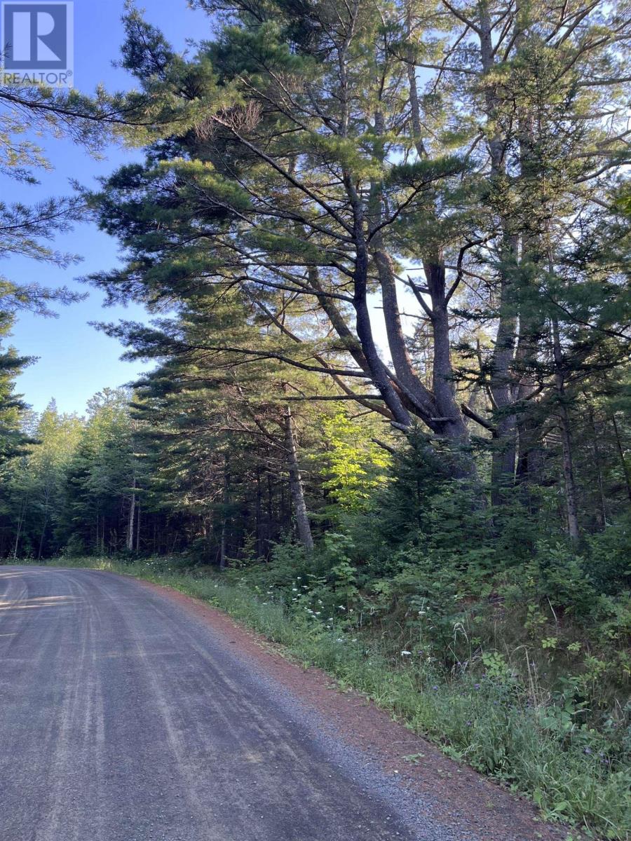 Lot Mill Road, Round Hill, Nova Scotia  B0S 1C0 - Photo 11 - 202419588