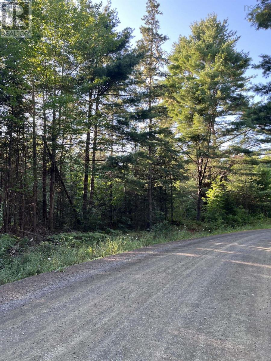 Lot Mill Road, Round Hill, Nova Scotia  B0S 1C0 - Photo 12 - 202419588