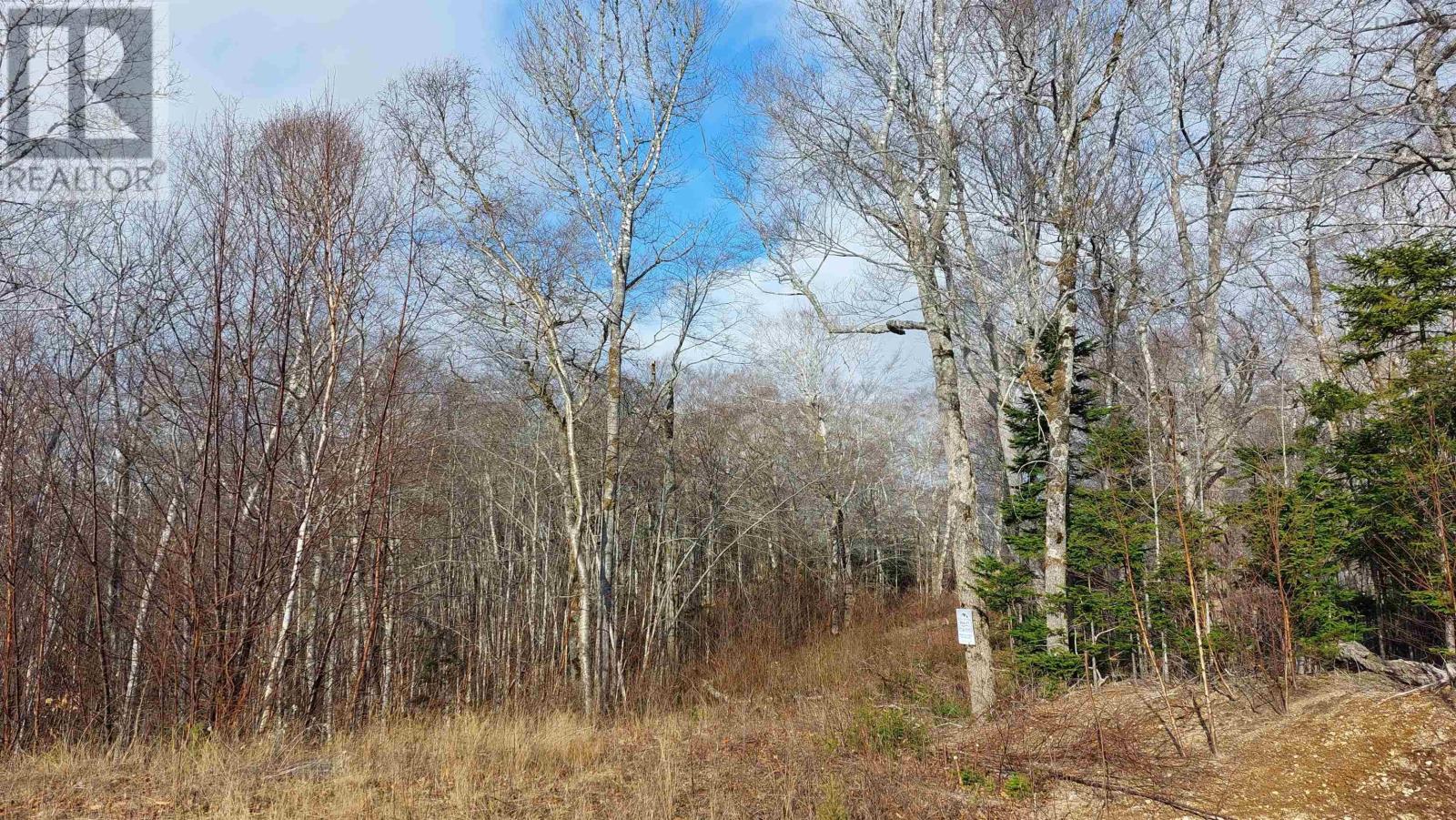 Lot 11 Duke Lane, Malagawatch, Nova Scotia  B0E 2Y0 - Photo 12 - 202419654