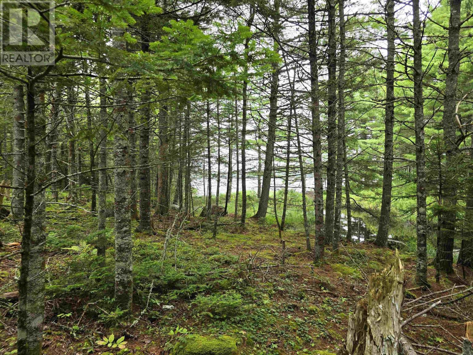 Lot 6 Lakefront Drive, Chelsea, Nova Scotia  B4V 7N2 - Photo 11 - 202419767