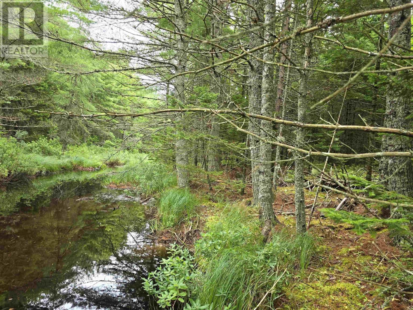 Lot 6 Lakefront Drive, Chelsea, Nova Scotia  B4V 7N2 - Photo 14 - 202419767