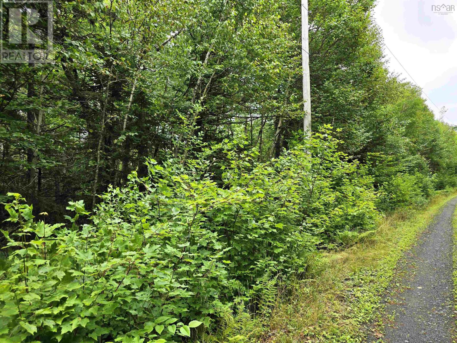 Lot 6 Lakefront Drive, Chelsea, Nova Scotia  B4V 7N2 - Photo 2 - 202419767