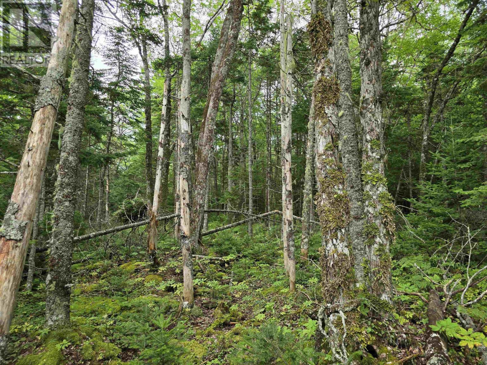 Lot 6 Lakefront Drive, Chelsea, Nova Scotia  B4V 7N2 - Photo 20 - 202419767