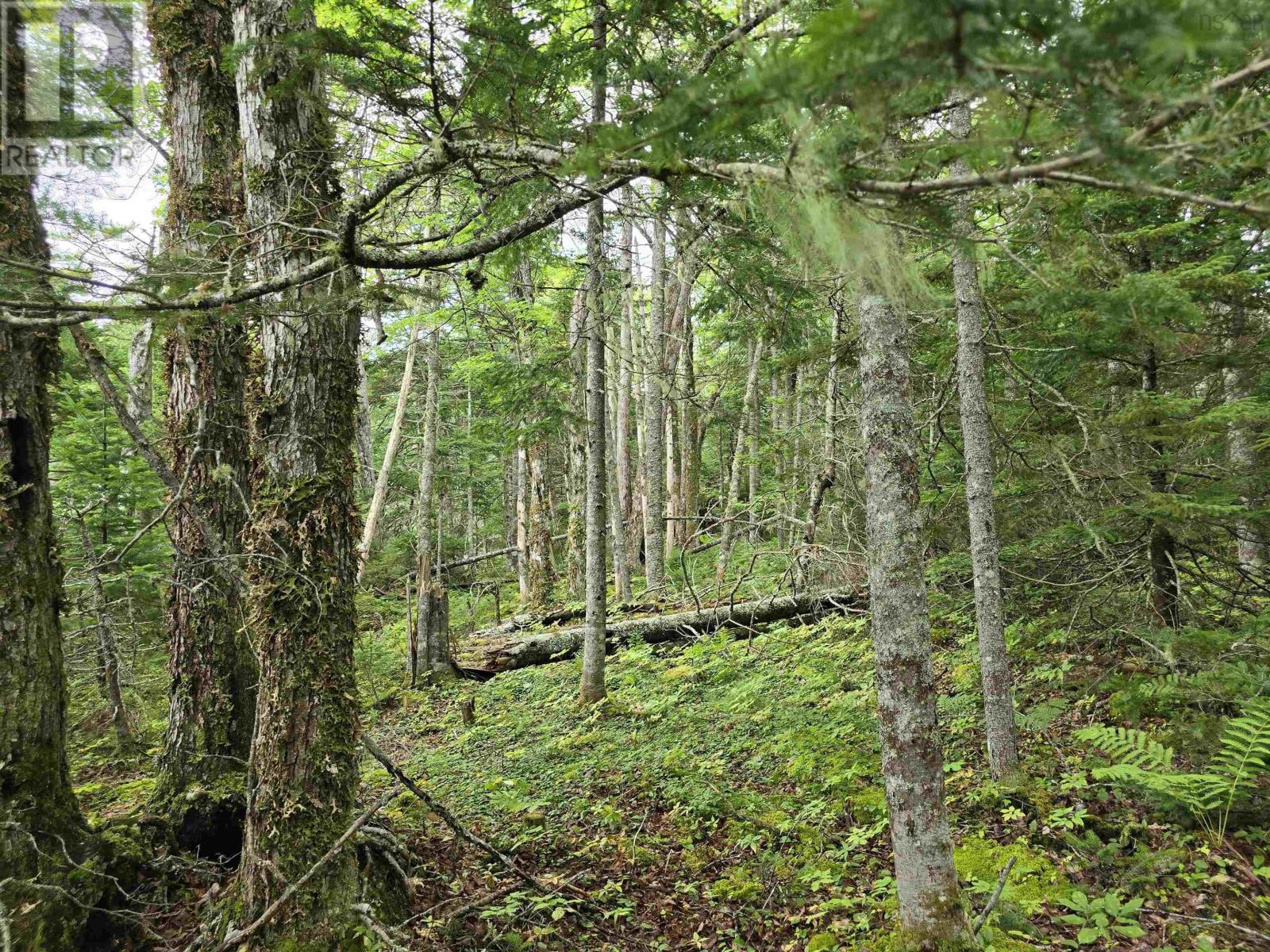 Lot 6 Lakefront Drive, Chelsea, Nova Scotia  B4V 7N2 - Photo 23 - 202419767