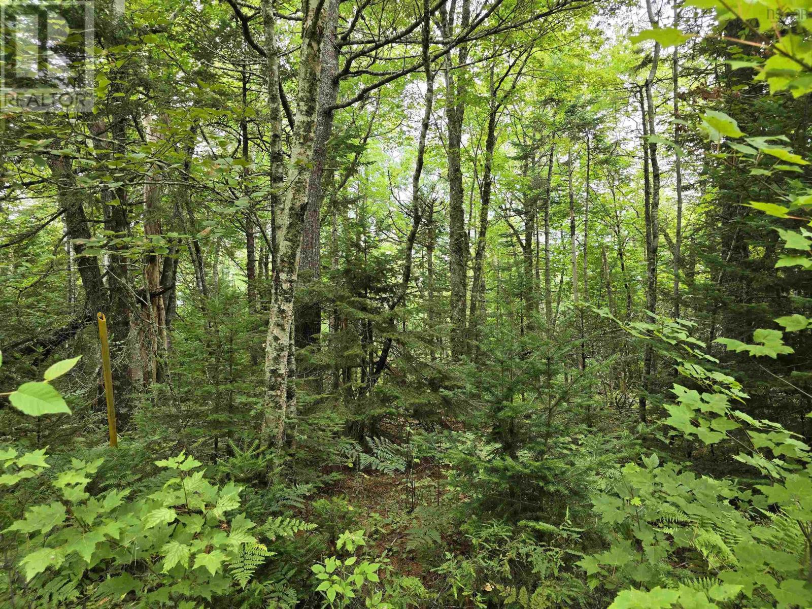 Lot 6 Lakefront Drive, Chelsea, Nova Scotia  B4V 7N2 - Photo 24 - 202419767