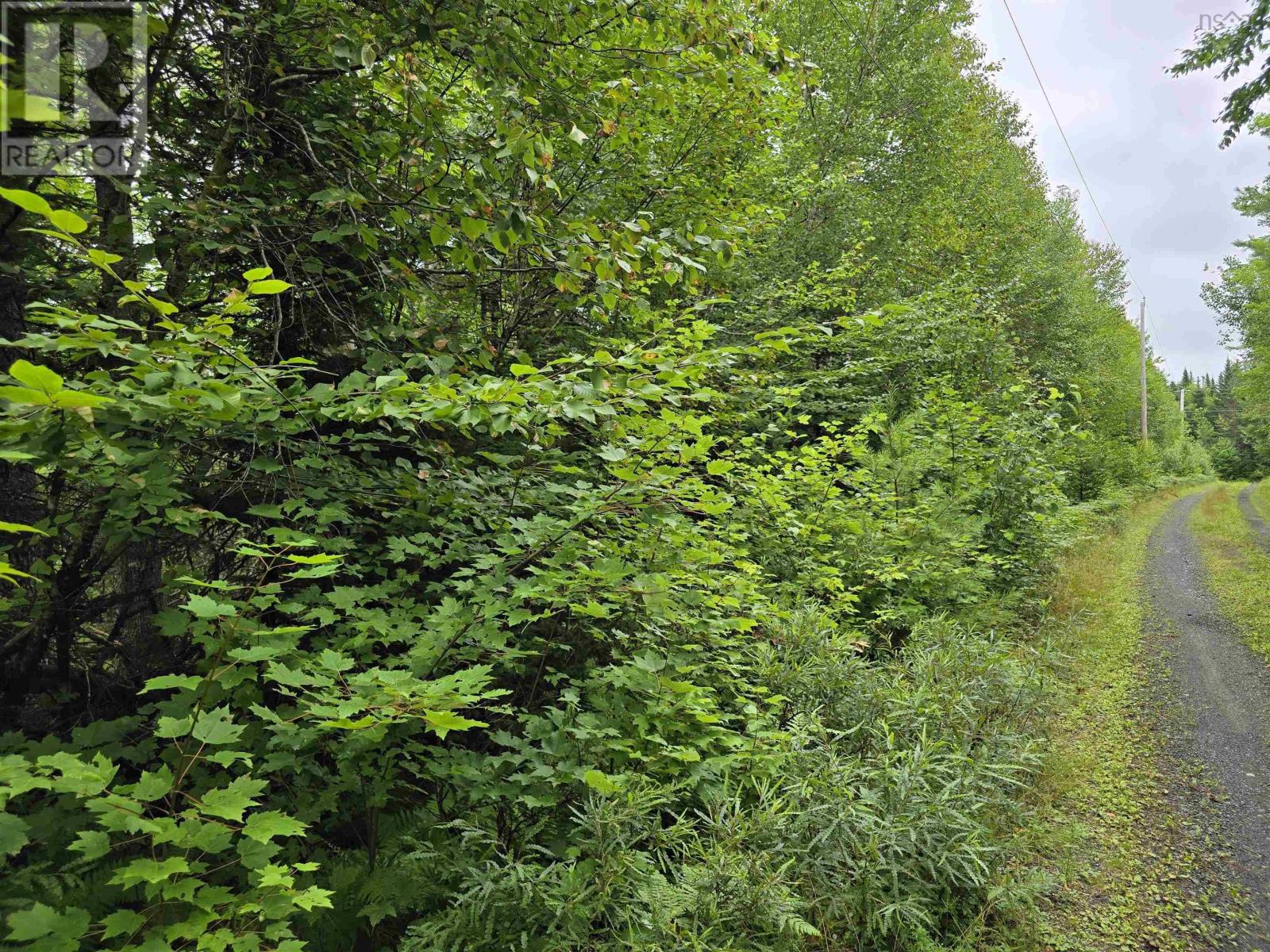 Lot 6 Lakefront Drive, Chelsea, Nova Scotia  B4V 7N2 - Photo 25 - 202419767