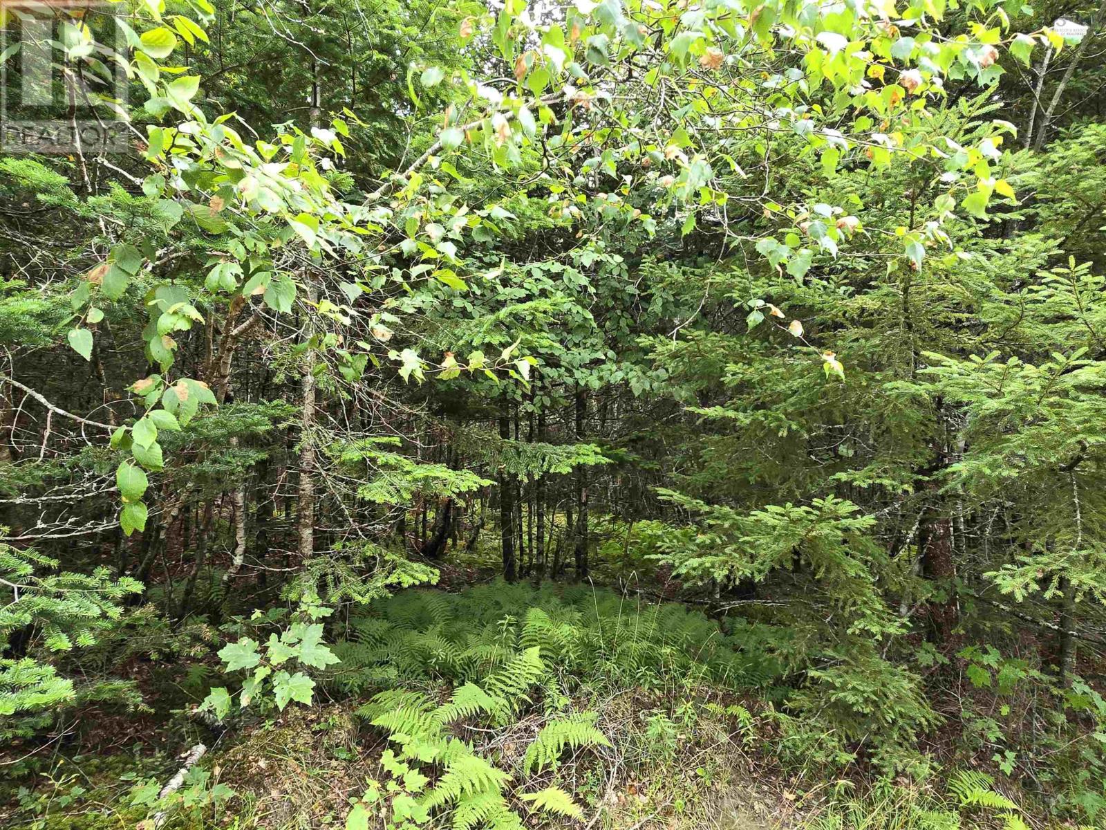 Lot 6 Lakefront Drive, Chelsea, Nova Scotia  B4V 7N2 - Photo 31 - 202419767