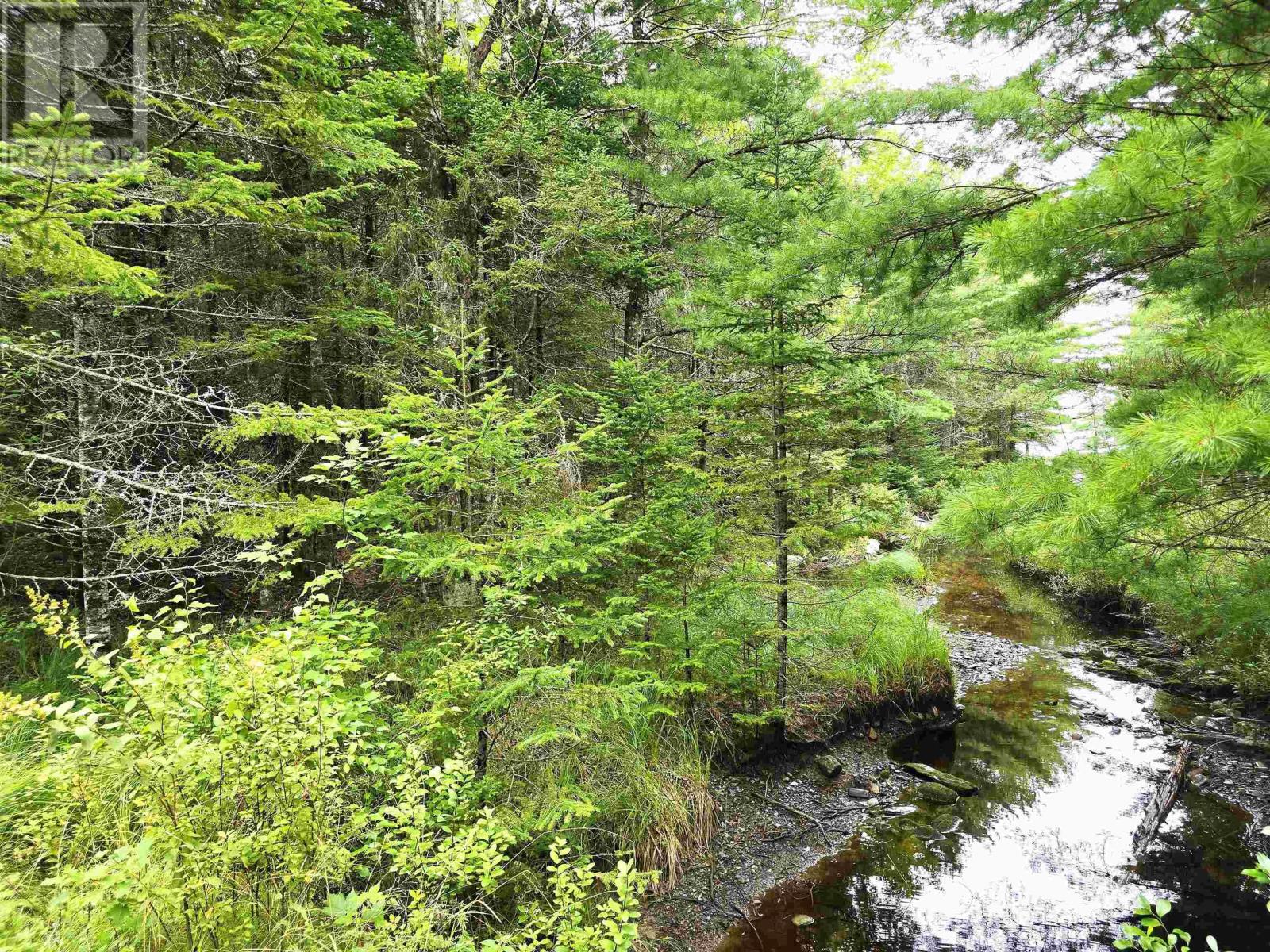 Lot 6 Lakefront Drive, Chelsea, Nova Scotia  B4V 7N2 - Photo 5 - 202419767