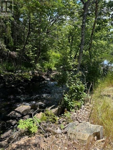 1988 New Chester Road, New Chester, Nova Scotia  B0J 2K0 - Photo 22 - 202419841