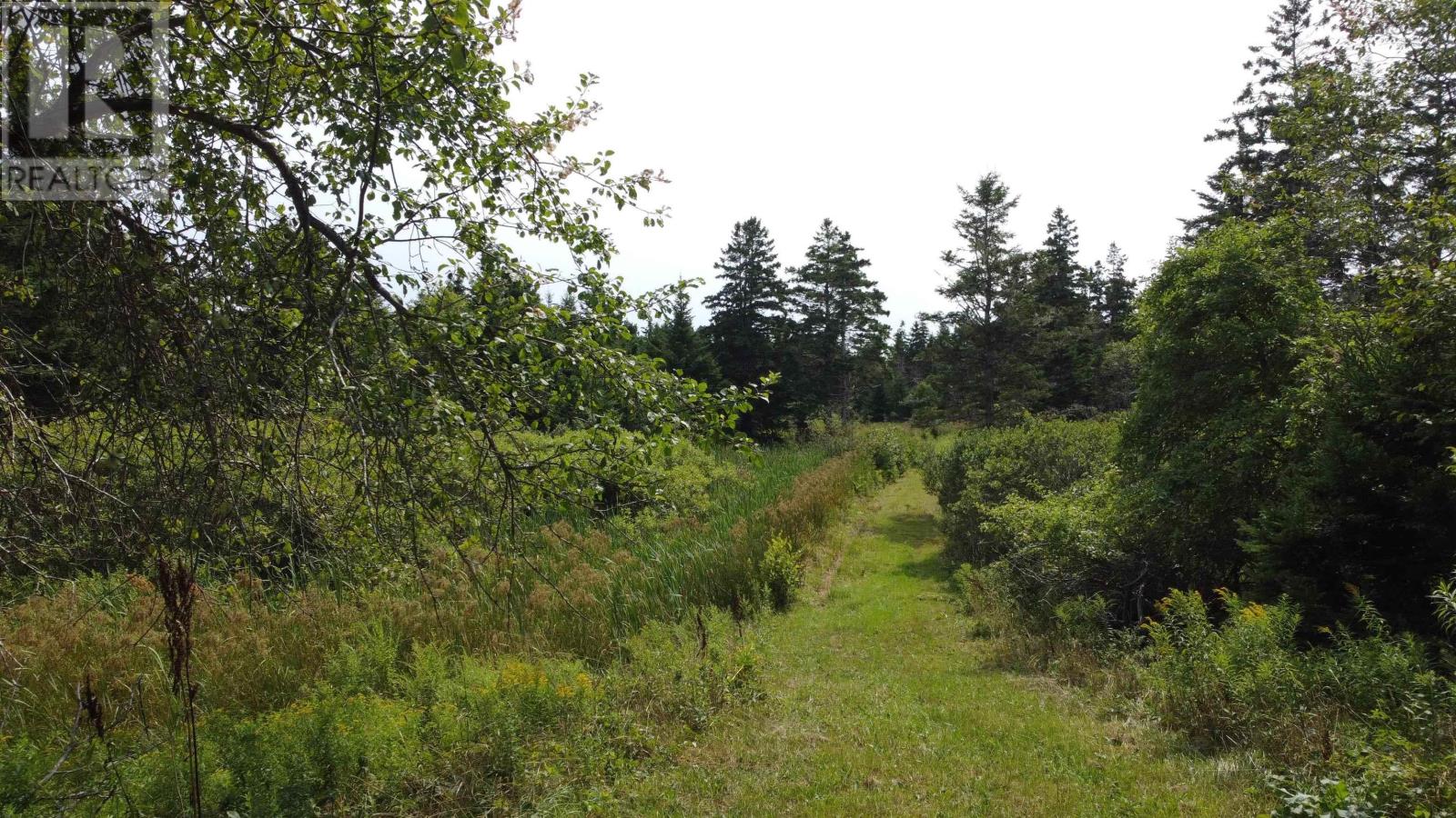 3138 Highway 320, D'escousse, Nova Scotia  B0E 1K0 - Photo 12 - 202419962