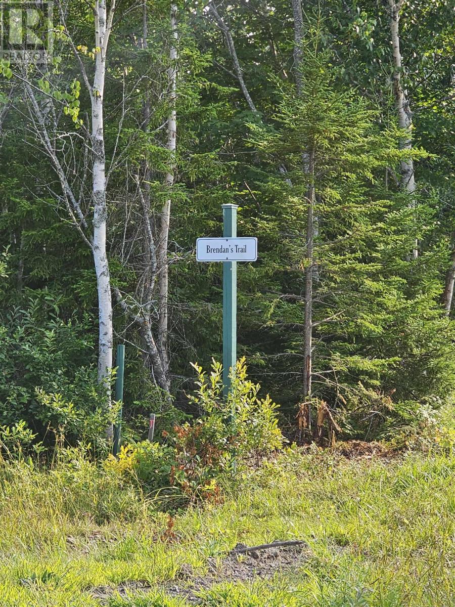 Lot 52 Fundy Lane, Two Islands, Nova Scotia  B0M 1S0 - Photo 32 - 202419979