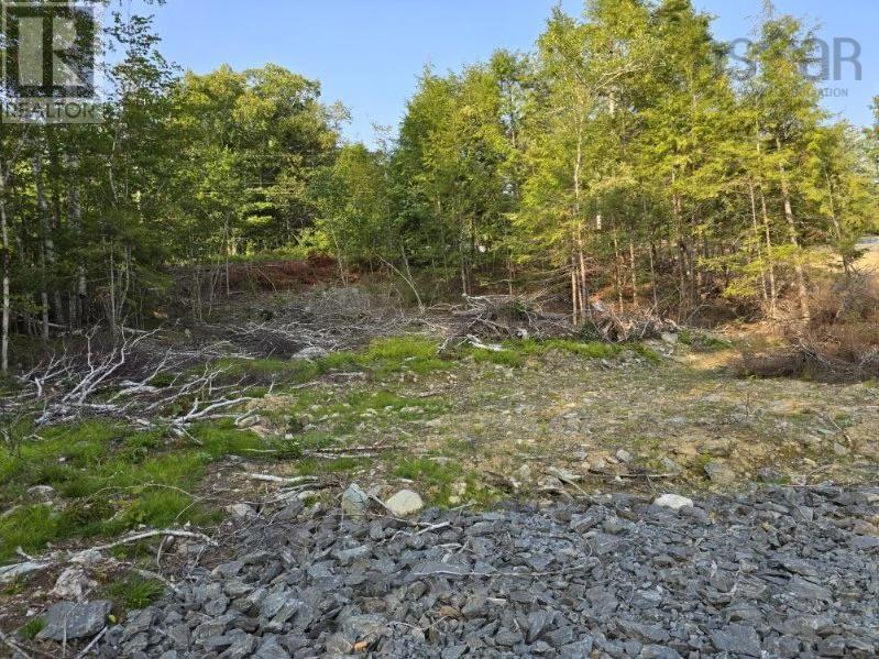 Lot 2 Riverside Drive, Molega, Nova Scotia  B0T 1X0 - Photo 6 - 202419989