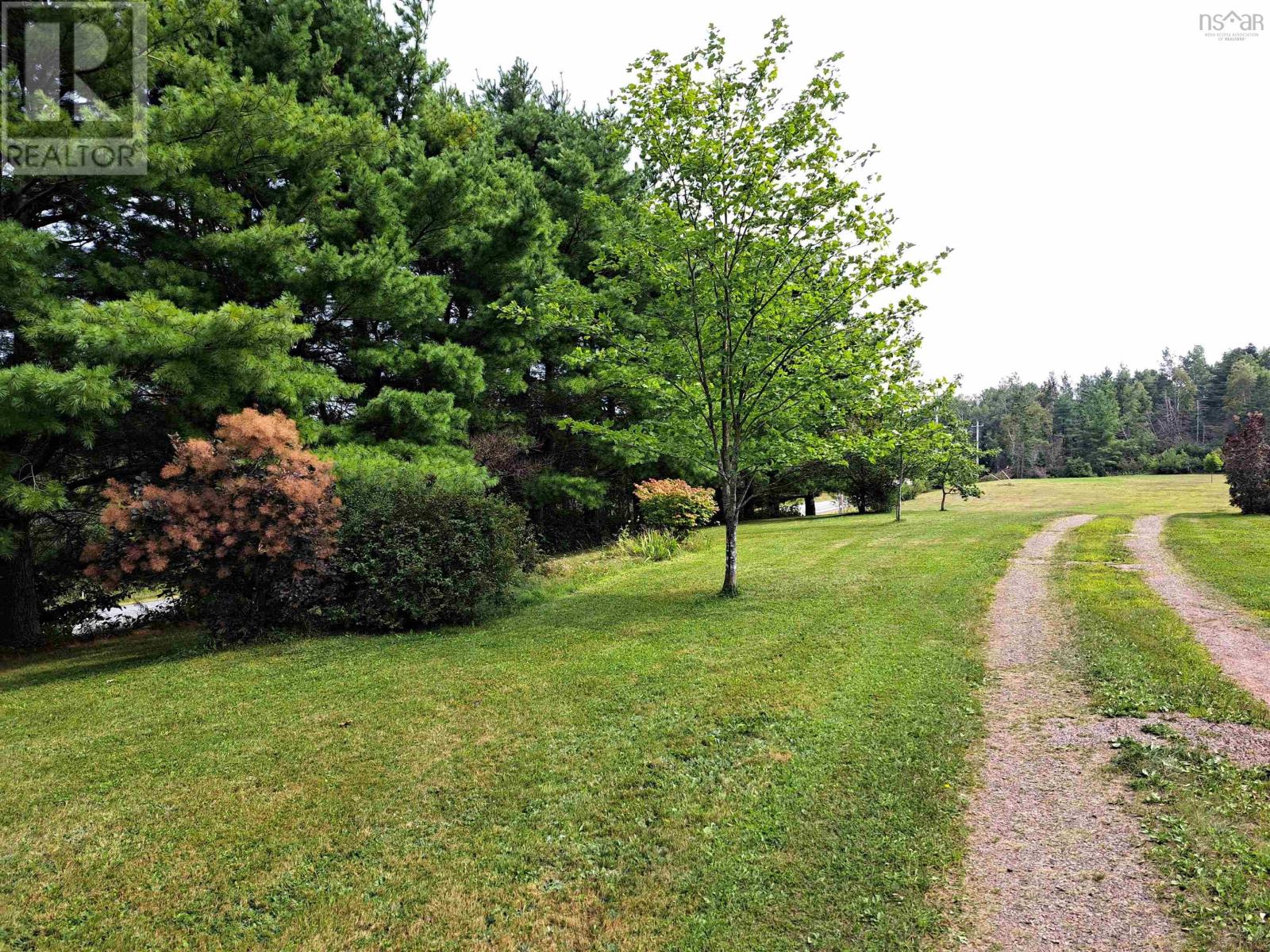 8207 Highway 311, Balfron, Nova Scotia  B0K 1V0 - Photo 7 - 202419996