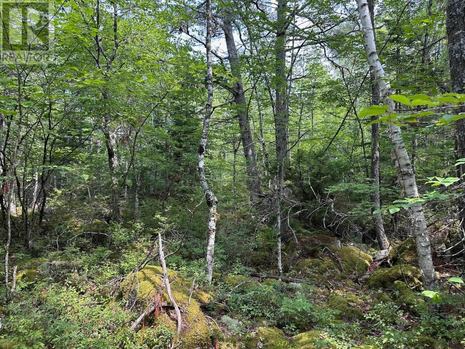 Lot 14 Forest Close, Labelle, Nova Scotia  B0T 1E0 - Photo 5 - 202420063