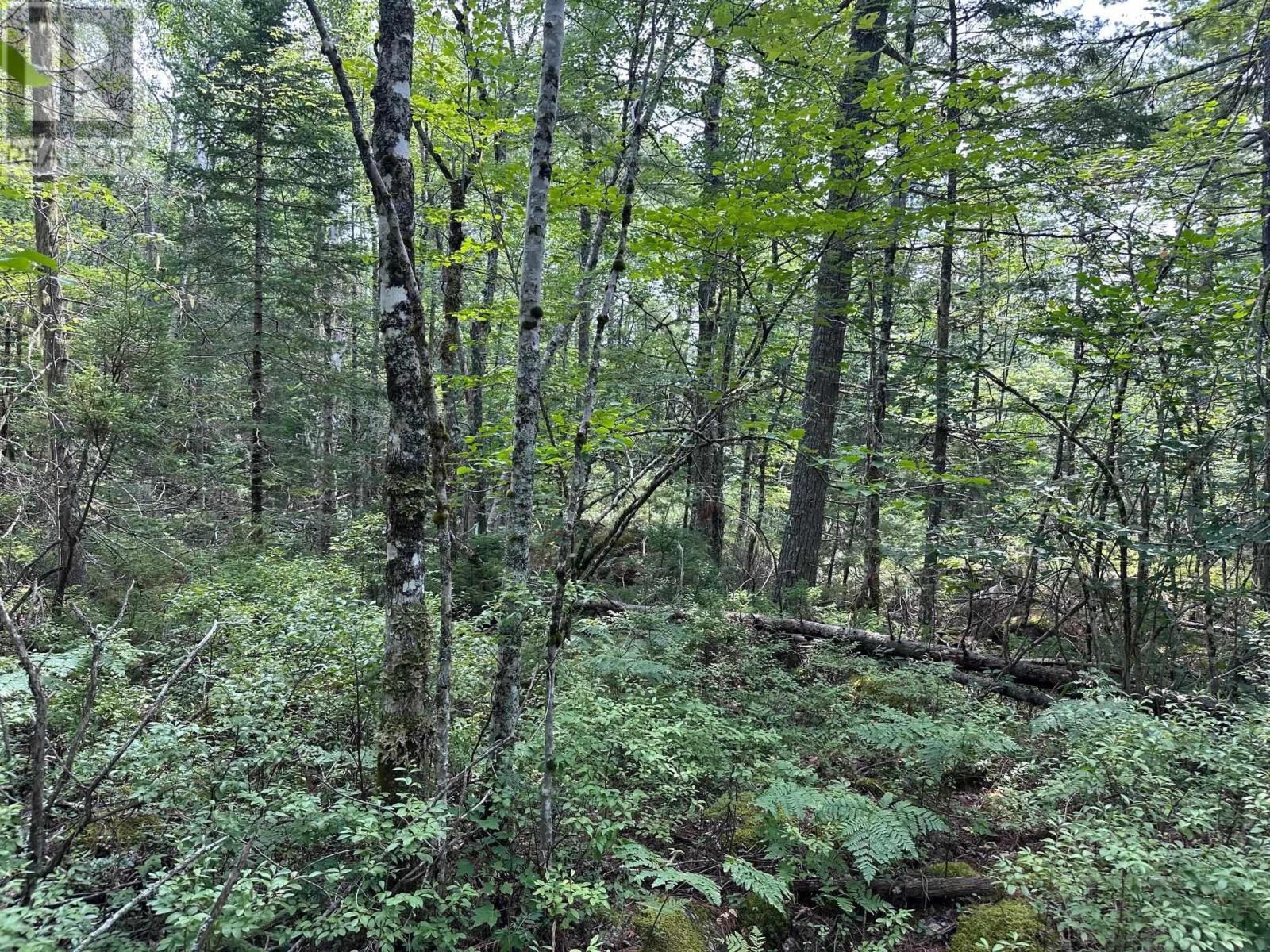 Lot 14 Forest Close, Labelle, Nova Scotia  B0T 1E0 - Photo 6 - 202420063