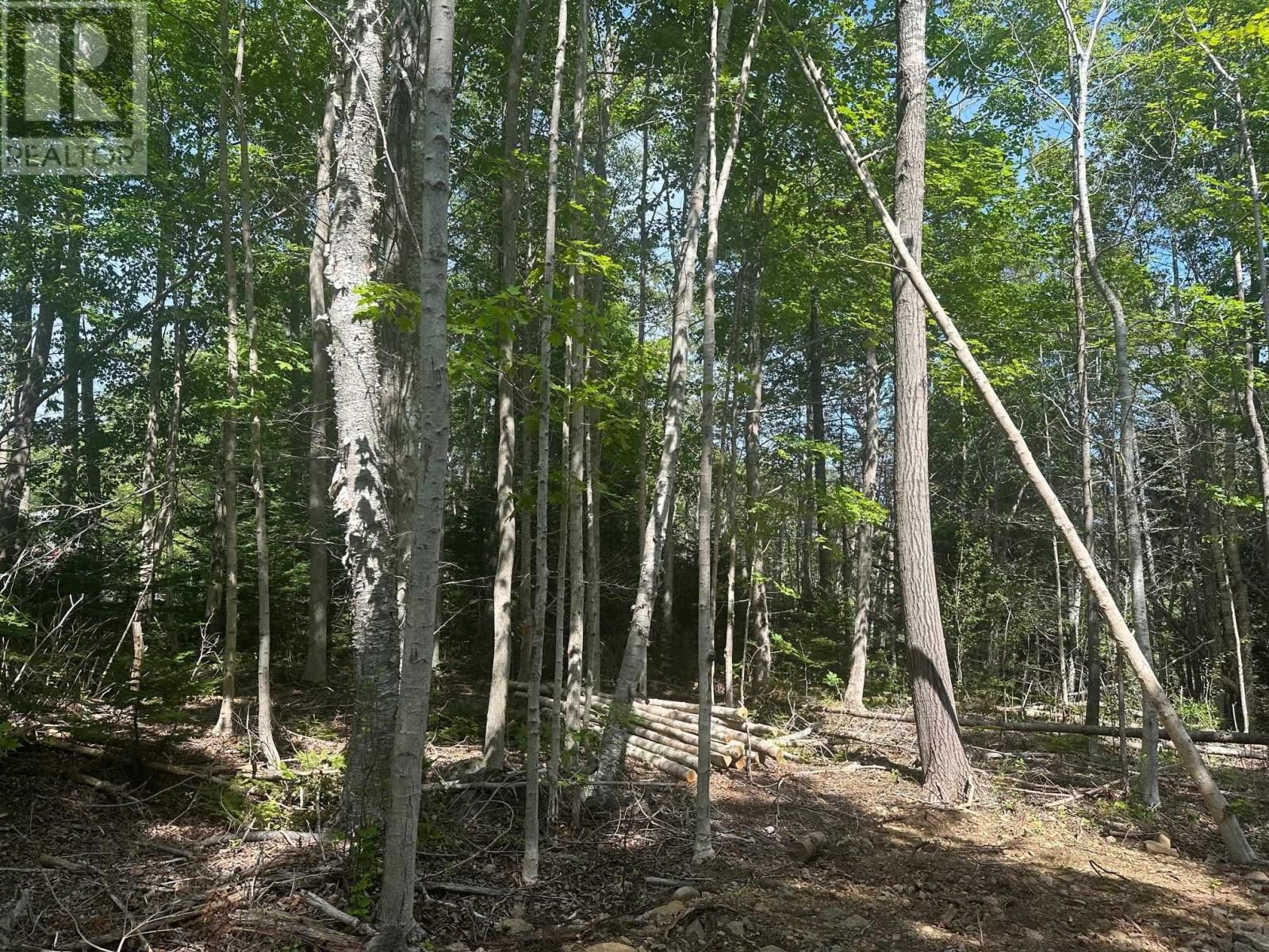 Lot #2 Highway 362, Victoria Vale, Nova Scotia  B0S 1P0 - Photo 10 - 202420073